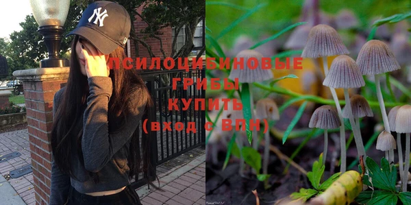 метадон Кинешма