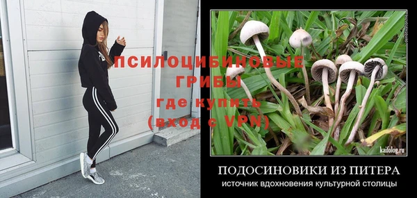 метадон Кинешма