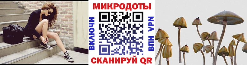 Купить  Выкса  Галлюциногенные грибы мицелий 